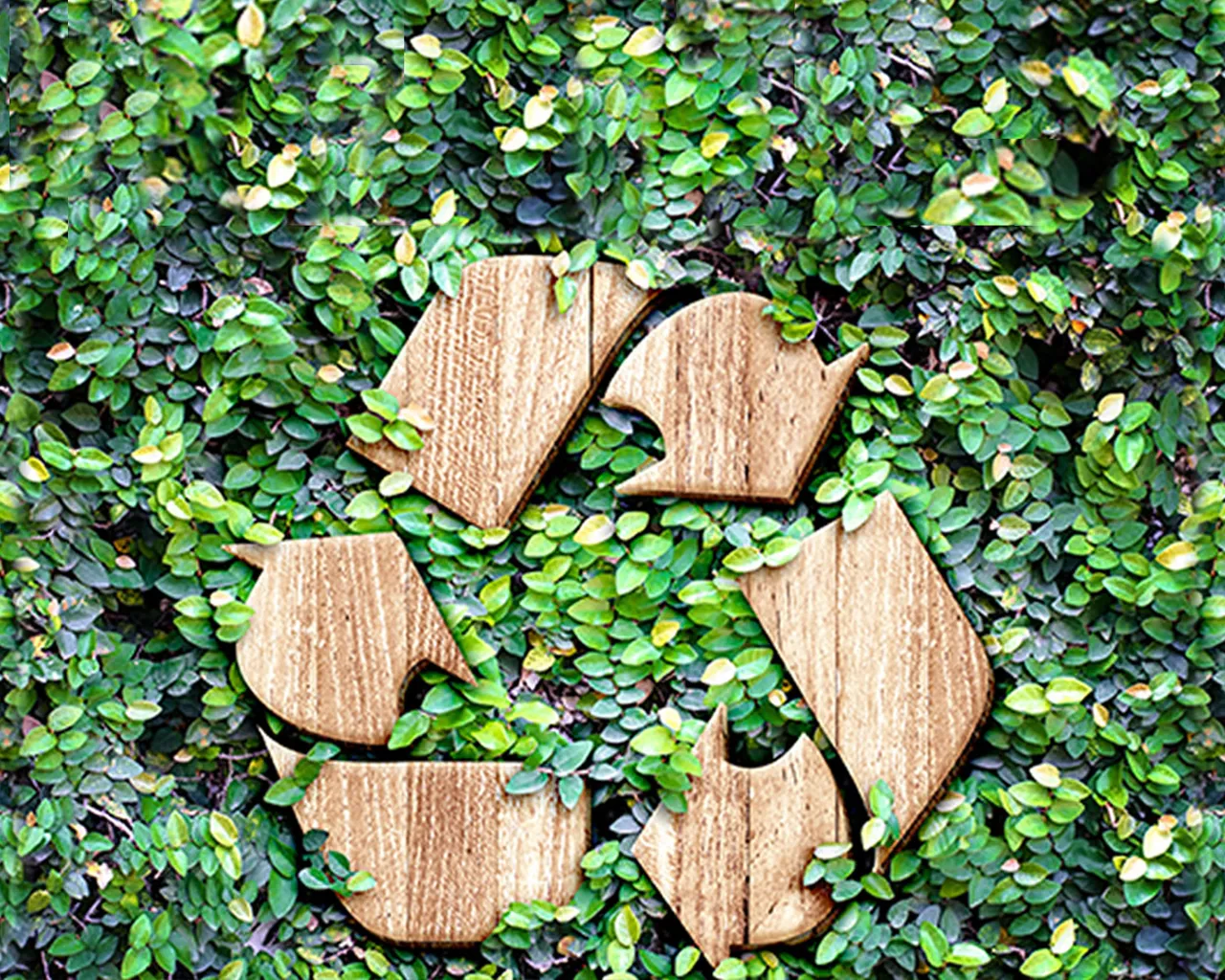 Houten recycle-symbool geplaatst op een achtergrond van groene bladeren. Het beeld verwijst naar duurzaamheid en hergebruik.